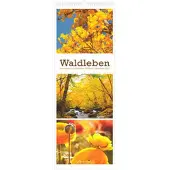 Sonstige Verlage Waldleben - Triplets 2027