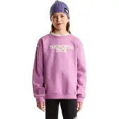The North Face Teen Glove Chalbi Relaxed Crew - Graphic hushed lavender (G6E) L