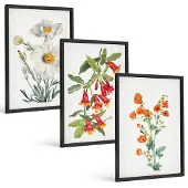 Tulup BILDER SET 3er Set - 40x60 cm Schwarzer Rahmen - Retro-Blumenarrangements