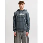 Jack & Jones Kapuzensweatshirt "JJEDENVER LOGO SWEAT HOOD SN", Baumwollmischung, relaxed fit