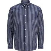 Jack & Jones Regular Fit Freizeithemd