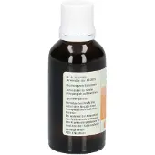 Kattwiga Synergon Komplex 91 Salix S Tropfen 50 ml