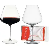 Spiegelau Definition Burgunder Glas 2er Set + Poliertuch