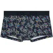 Hom Trunk Richard