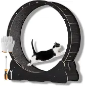 Famanu Katzenlaufrad - Robustes Design, geräuschlos und sicher - Schwarz