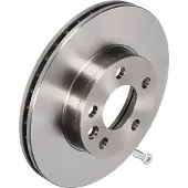 Delphi Bremsscheiben BG3417 vorne, belüftet, 2 Stück