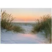 WALLARENA Fototapete Strand in Beige | Gr.: 350 x 250 cm
