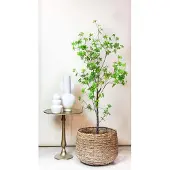 Green Boutiq Künstliche Pflanze - Tropaeolum Speciosum - Indische Kresse