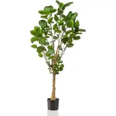 Green Boutiq Künstliche Pflanze - Polyscias - Aralia