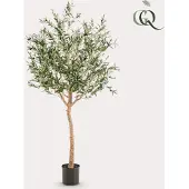 Green Boutiq Künstlicher Olivenbaum - Olea Europaea - Olivenbaum