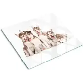 Tulup GLASPLATTE 60x52 cm Husky-Welpen