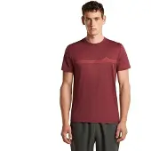 Icebreaker 150 Tech Lite Range Stripes Kurzarm-t-shirt