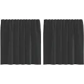 vidaXL Voile Vorhänge mit Stangentaschen 2 Stk. Schwarz