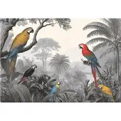 WALLARENA Fototapete Papageien in Grau | Gr.: 250 x 175 cm