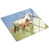 Tulup GLASPLATTE 60x52 cm Stute mit Fohlen