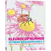 Uitgeverij MUS Malen nach Zahlen: Extreme Mosaik Malbuch 2