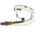 Bosch Lambdasonde 0258010165 für FORD