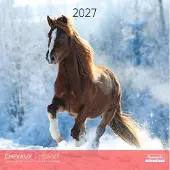 Aquarupella Pferde Kalender 2027