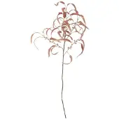 Bloomingville Eucalyptus