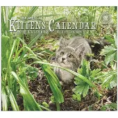 Legacy Kätzchen Kalender 2027