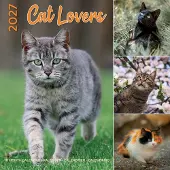 Plenty Gifts Katzenfreunde Kalender 2027
