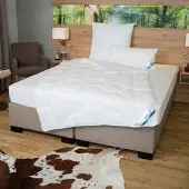 Beco Kopfkissen Royal Soft Testsieger 40 x 80 cm