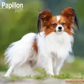 Avonside Publishing Ltd. Papillon Kalender 2027