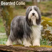 Avonside Publishing Ltd. Bearded Collie Kalender 2027