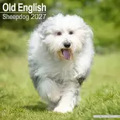 Avonside Publishing Ltd. Old English Sheepdog Kalender 2027