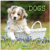 Korsch Verlag Hunde Kalender 2027