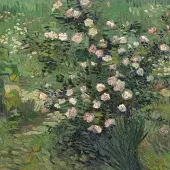 Tushita van Gogh - Aus Vincents Garten Kalender 2027