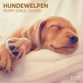 Tushita Welpen Kalender 2027