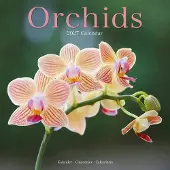 Avonside Publishing Ltd. Orchidee Kalender 2027