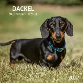Tushita Dackel Kalender 2027