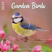 Plenty Gifts Garten-Vögel Kalender 2027
