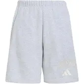Adidas Seasonals Collegiate Typography Kurze Hose