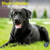 Baker & Bray Labrador Retriever Schwarz Kalender 2027