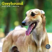 Baker & Bray Windhund Kalender 2027