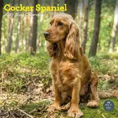 Baker & Bray Englischer Cocker Spaniel Kalender 2027
