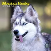 Baker & Bray Siberische Husky Kalender 2027