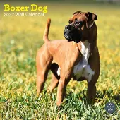 Baker & Bray Boxer Kalender 2027