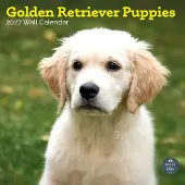 Baker & Bray Golden Retriever Welpen Kalender 2027