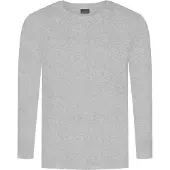 Promodoro Men's Premium-T Long Sleeve