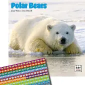 Dayplanner Eisbären Kalender 2027