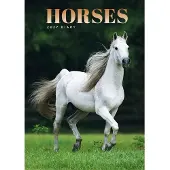 CAROUSEL CALENDARS Pferde A5-Agenda 2027