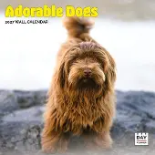 Dayplanner Wunderbare Hunde Kalender 2027