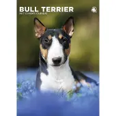 CalendarsRUs Bull Terrier A3 Kalender 2027