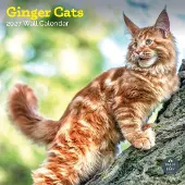 Baker & Bray Rote Katzen Kalender 2027