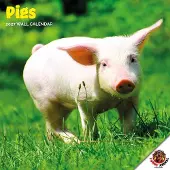 Dayplanner Schweinekalender 2027