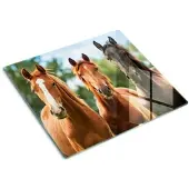 Tulup GLASPLATTE 60x52 cm Drei Pferde